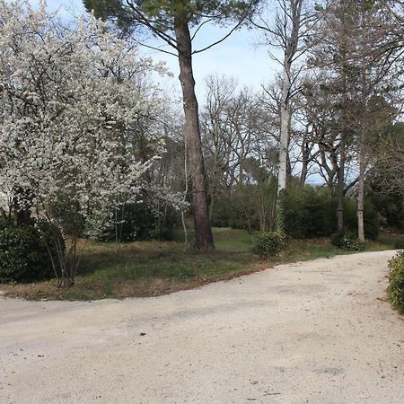 Bed and Breakfast Ermitage Notre Dame De Vacquieres Noves Exterior foto